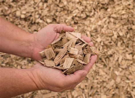 Mulch wood chips. Things To Know About Mulch wood chips. 